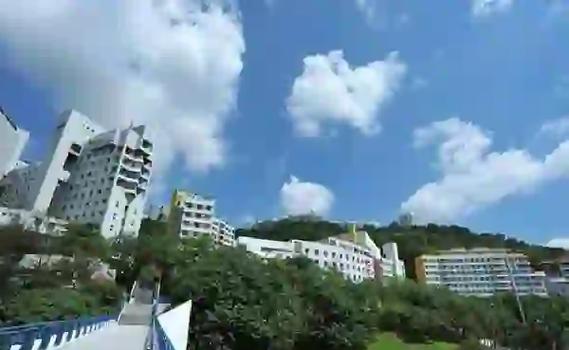 2022年出国留学，这些中介值得考虑